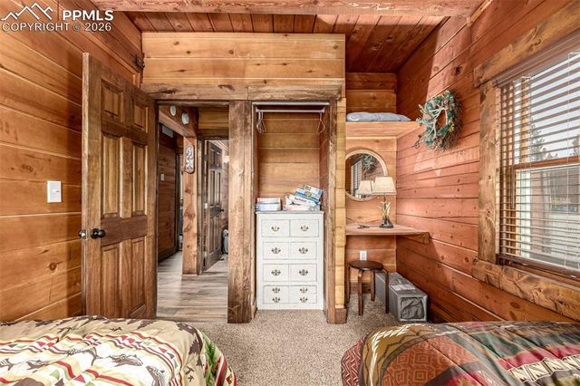 116 Dakota Path, Lake George, CO 80827