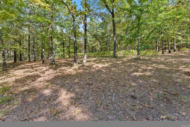 207 Goshen Valley Dr Drive, Mayflower, AR 72106