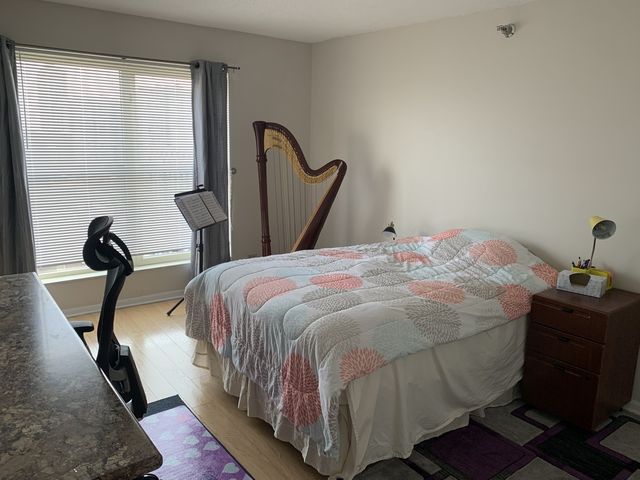 1212 N La Salle Drive 1910, Chicago, IL 60610