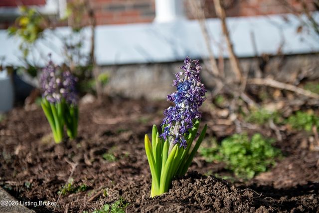 1300 Etawah Ave, Louisville, KY 40222