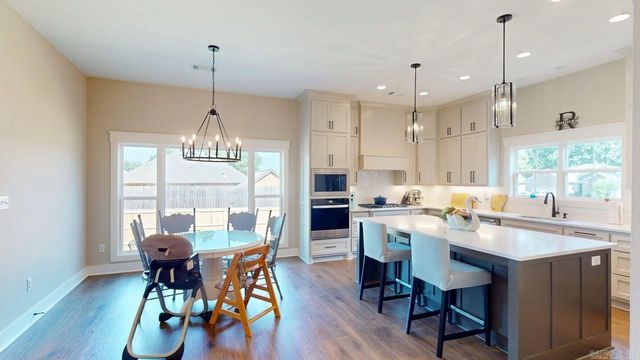 1460 Ronnie Weaver Drive, Conway, AR 72034
