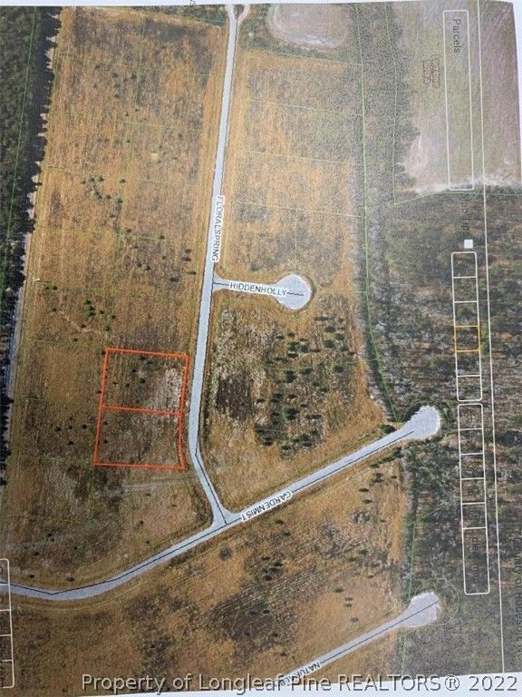 DAYLILY Drive, Lumberton, NC 28360 — photo 2