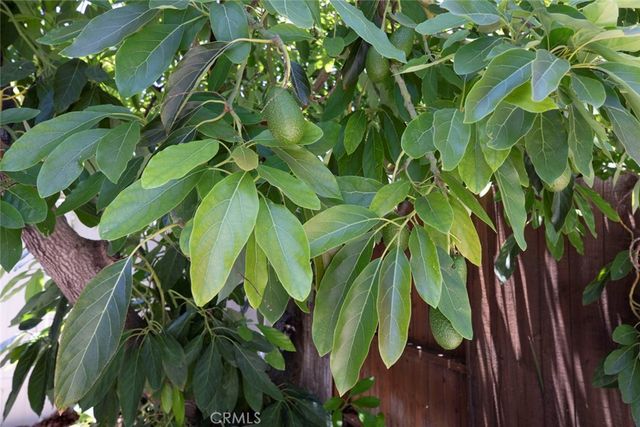 16509 Shamhart, Granada Hills, CA 91344