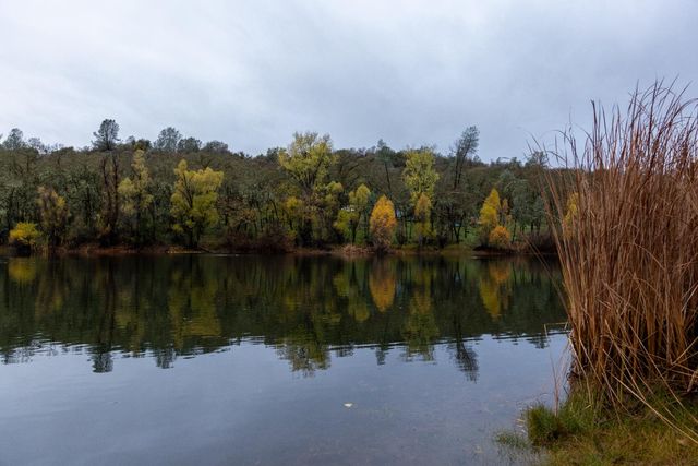 6100 Shasta Rd, Garden Valley, CA 95633