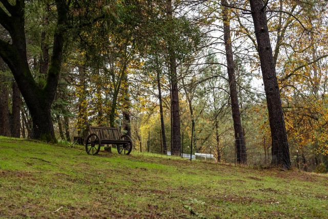 6100 Shasta Rd, Garden Valley, CA 95633