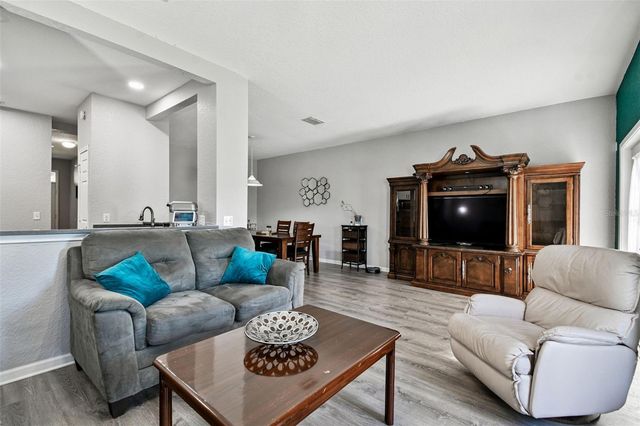 8209 DOWN ROYAL ROAD, Tampa, FL 33610