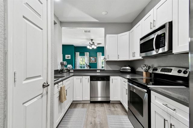 8209 DOWN ROYAL ROAD, Tampa, FL 33610