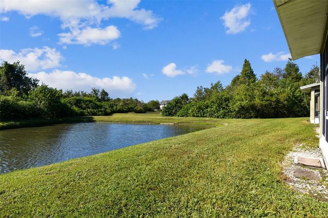 8209 DOWN ROYAL ROAD, Tampa, FL 33610