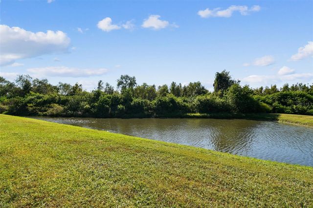 8209 DOWN ROYAL ROAD, Tampa, FL 33610
