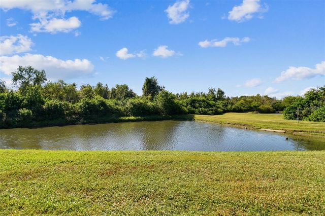 8209 DOWN ROYAL ROAD, Tampa, FL 33610