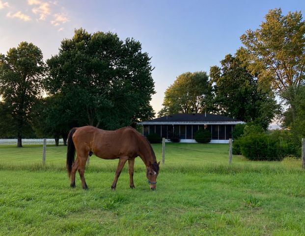 4905 Bethesda Duplex Rd, College Grove, TN 37046
