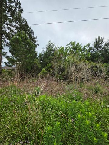 2777 County Road 3479b, Cleveland, TX 77327
