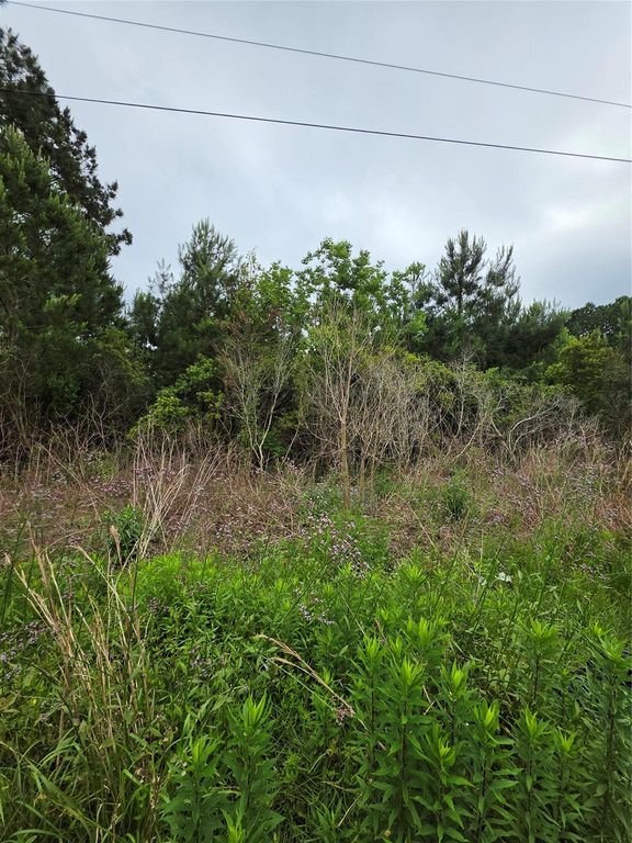 2777 County Road 3479b, Cleveland, TX 77327