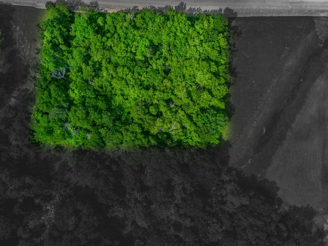 1193 S Brazos Avenue, Cleburne, TX 76031