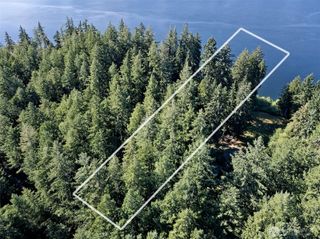 50 Lot2B E Philura Lane, Shelton, WA 98584