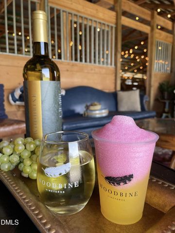 399 Lewis Road, Clarksville, VA 23927