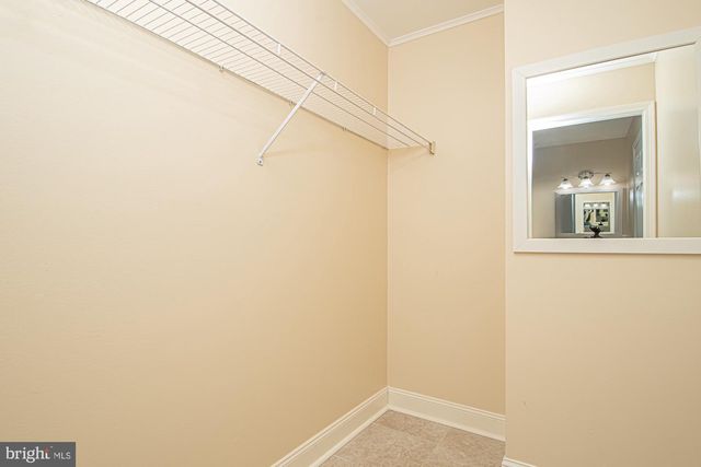 213 WOODROW RD, Winchester, VA 22602