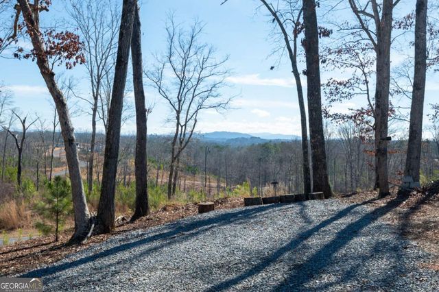 218 Oak Wood Lane 202, Ellijay, GA 30540