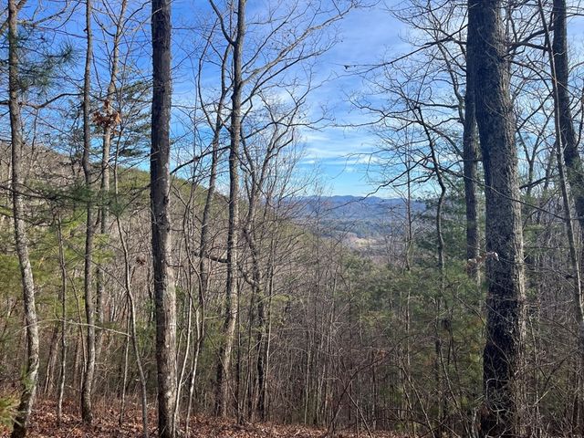 Lot 14 Patriot Ridge, Murphy, NC 28906