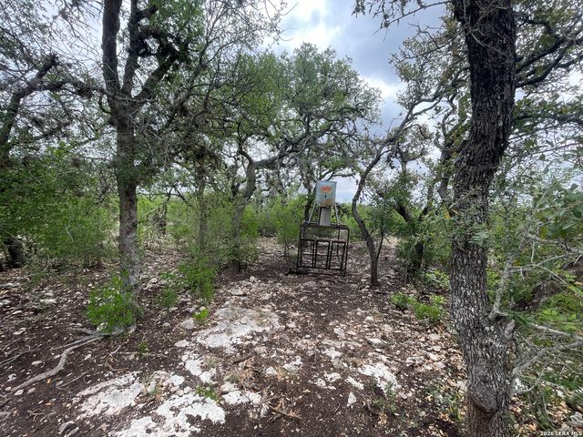 000 Private Road 2410, Hondo, TX 78861