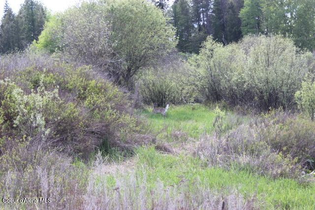 436 Mays Rd, Sagle, ID 83860