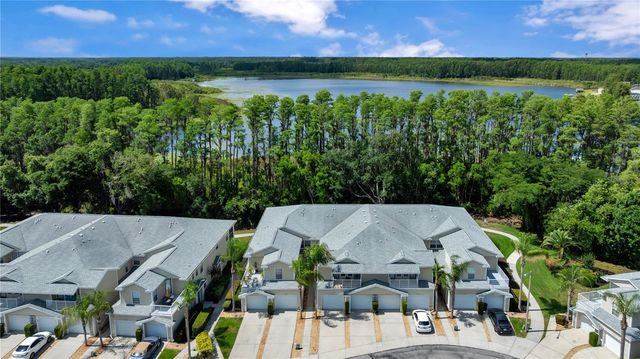 1715 HAMMOCKS AVENUE 1715, Lutz, FL 33549