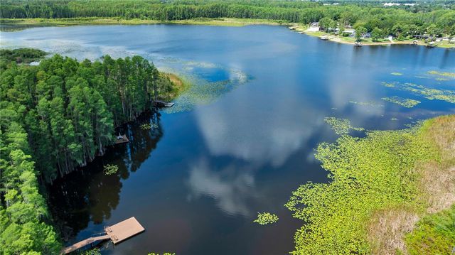 1715 HAMMOCKS AVENUE 1715, Lutz, FL 33549