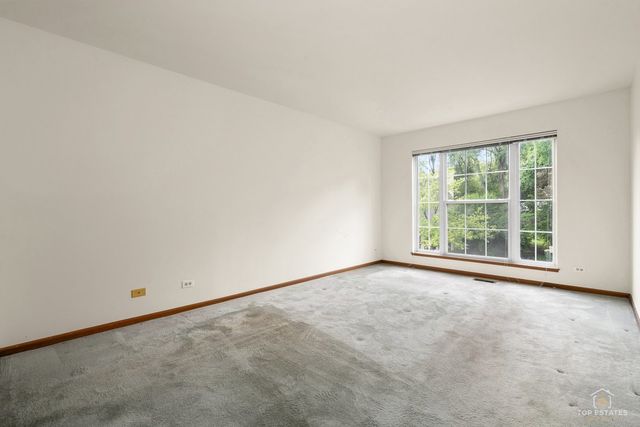 1115 Hunt Wyck Court 1115, Elgin, IL 60120