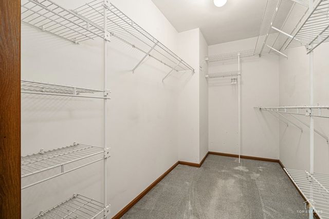 1115 Hunt Wyck Court 1115, Elgin, IL 60120