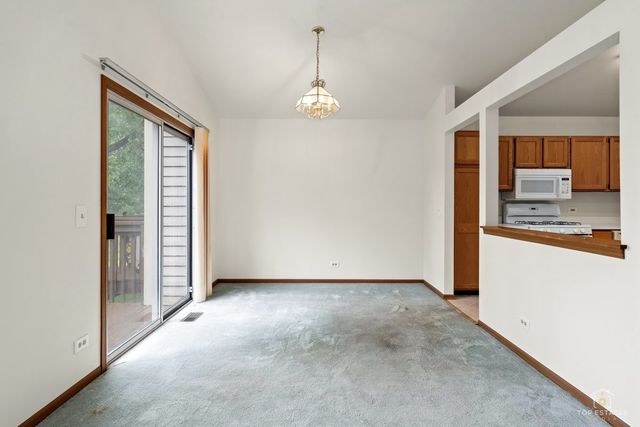 1115 Hunt Wyck Court 1115, Elgin, IL 60120