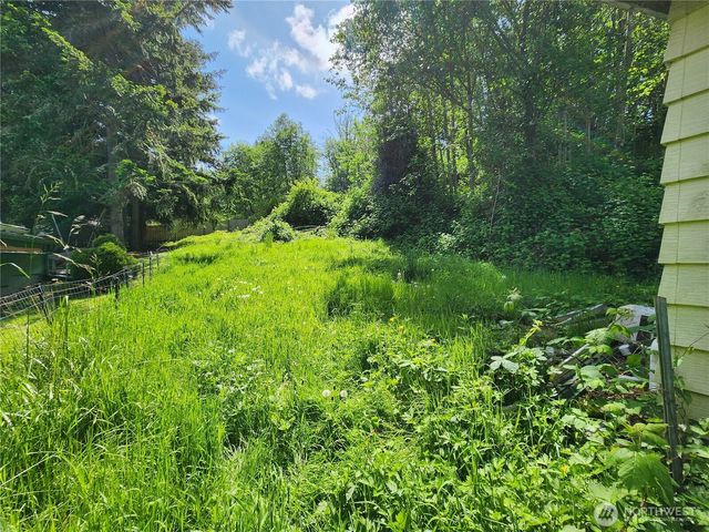111 Cedar Avenue S, Eatonville, WA 98321