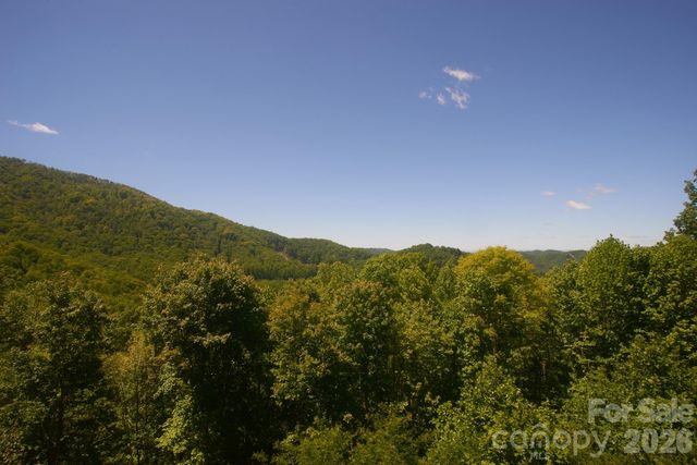 427 Spring Rock Road, Burnsville, NC 28714