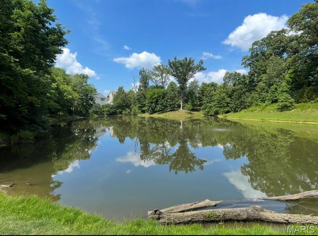 27 Carlton Lake Court, Wentzville, MO 63385