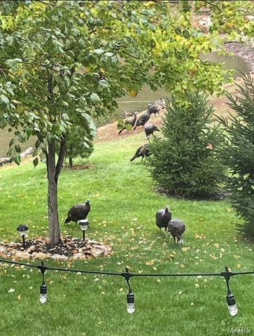 27 Carlton Lake Court, Wentzville, MO 63385