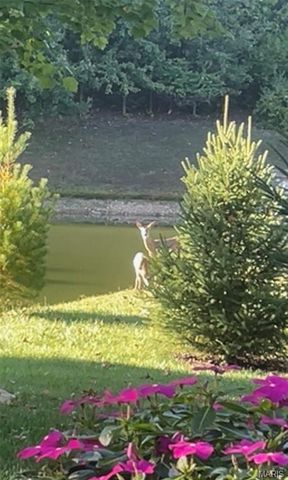 27 Carlton Lake Court, Wentzville, MO 63385