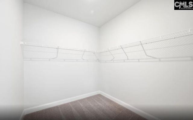 122 Monroe Preserve Lane, Chapin, SC 29036