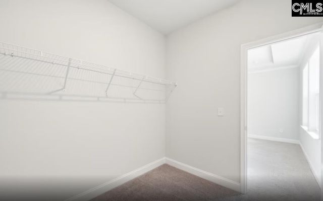122 Monroe Preserve Lane, Chapin, SC 29036