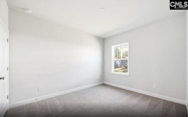 122 Monroe Preserve Lane, Chapin, SC 29036