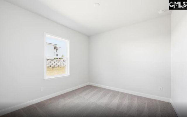 122 Monroe Preserve Lane, Chapin, SC 29036