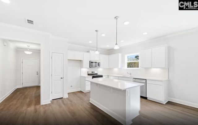 122 Monroe Preserve Lane, Chapin, SC 29036