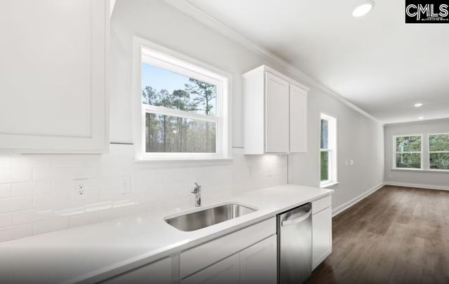 122 Monroe Preserve Lane, Chapin, SC 29036