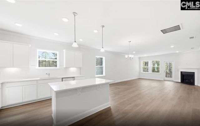 122 Monroe Preserve Lane, Chapin, SC 29036