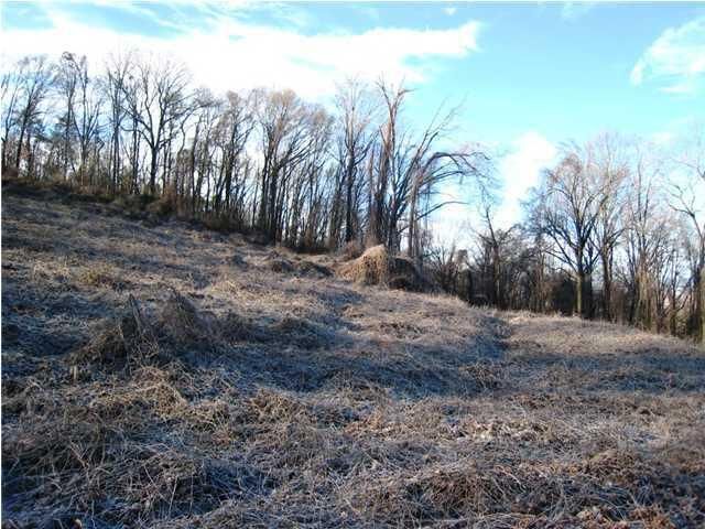 011 Grand View Street, Chattanooga, TN 37406