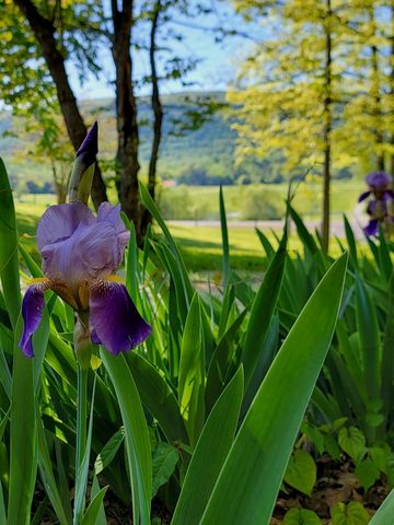 14656 Rhea County Highway, Evensville, TN 37332