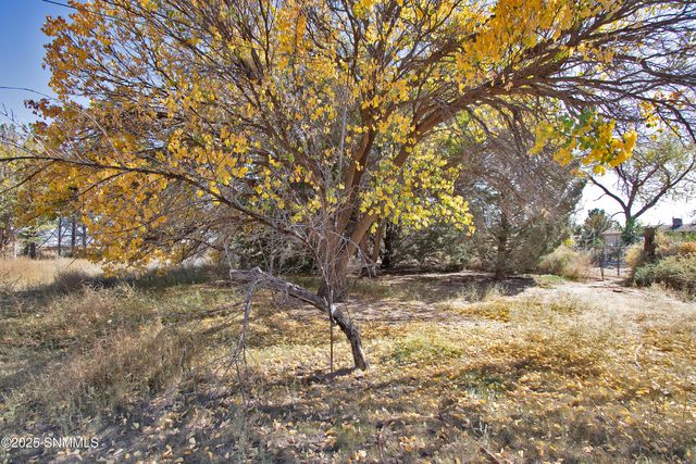 110 SW Creosote Road, Deming, NM 88030