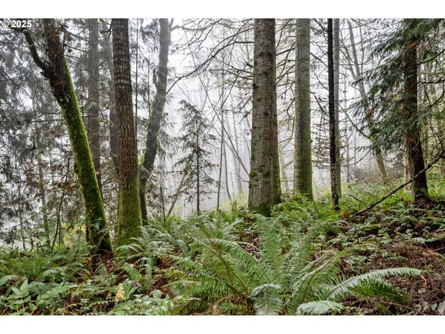 205 NEWT ESTATES Rd, Longview, WA 98632