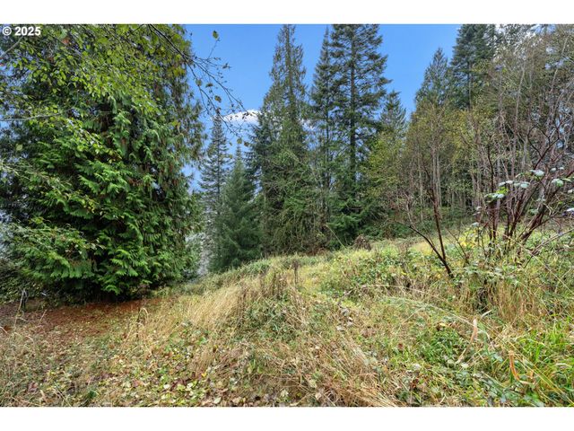 205 NEWT ESTATES Rd, Longview, WA 98632