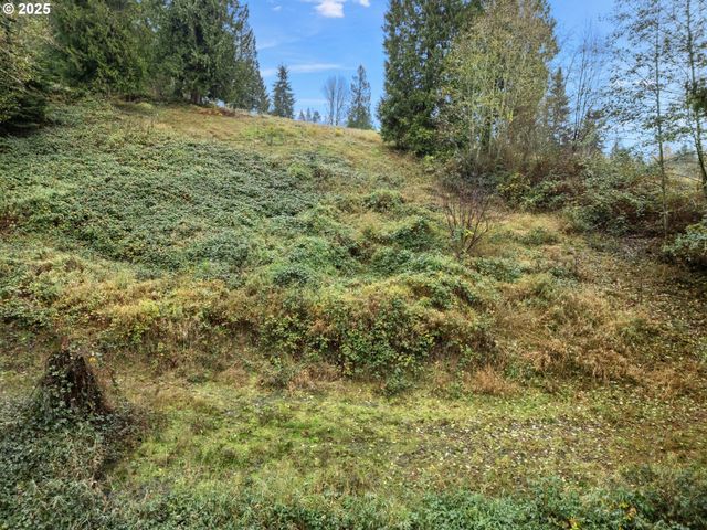 205 NEWT ESTATES Rd, Longview, WA 98632