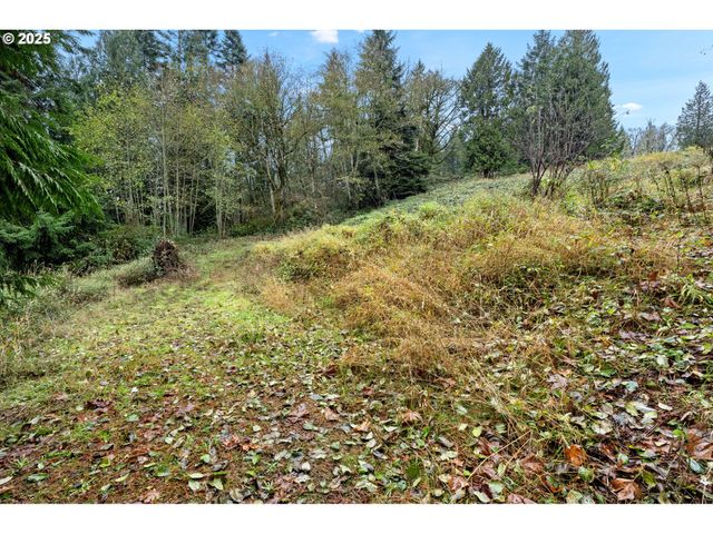 205 NEWT ESTATES Rd, Longview, WA 98632