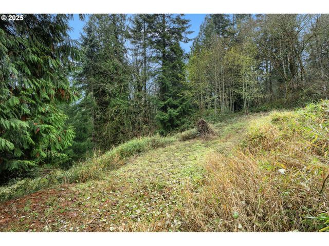 205 NEWT ESTATES Rd, Longview, WA 98632